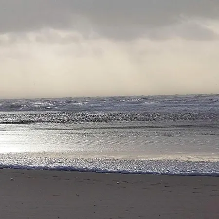 5 Star In Prázdninový dům Vejers Strand