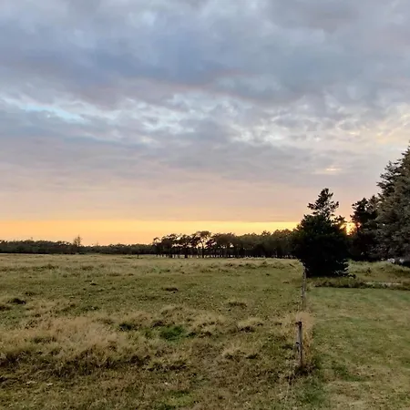 Prázdninový dům 5 Star In *