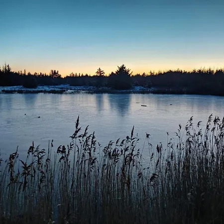 5 Star In * Vejers Strand