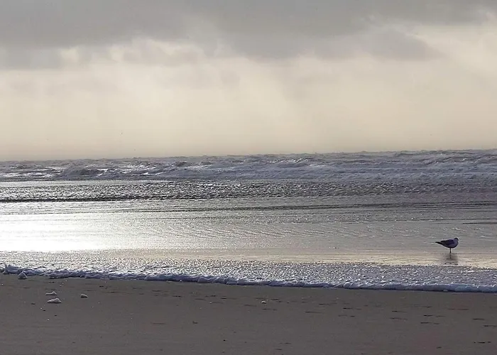 5 Star In Prázdninový dům Vejers Strand