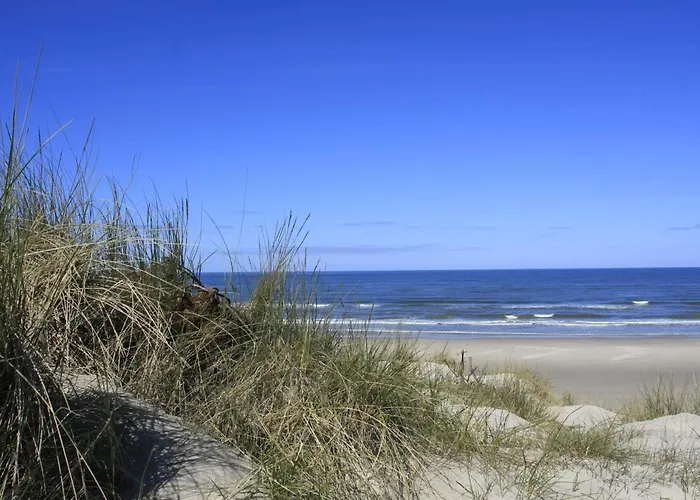 5 Star In * Vejers Strand